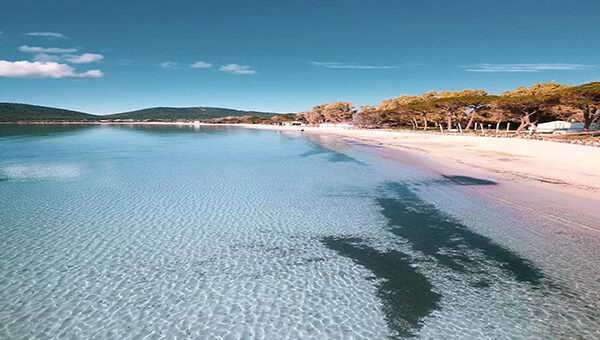 Spiagge